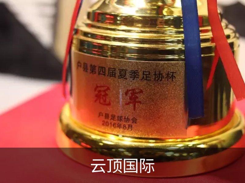 云顶国际简介